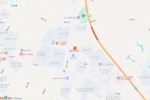 涌金之星电子地图