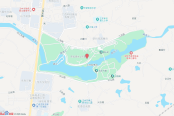 电子地图