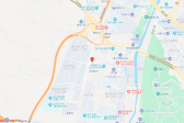 泰来阳光