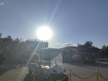 小学
