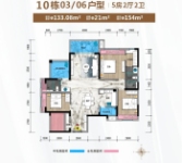 10栋03、06户型