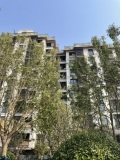 金地藝墅家·风华印工程进度图