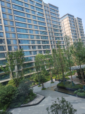 龙湖·江山颂实景图