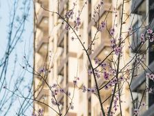 此房手续齐全,格局好,采光好,无遮挡,出行方便