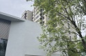 森与天成实景图