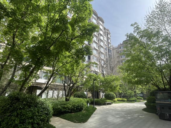 帝王国际商住楼实景图