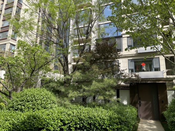 帝王国际商住楼实景图