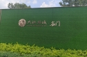 大壮名城实景图