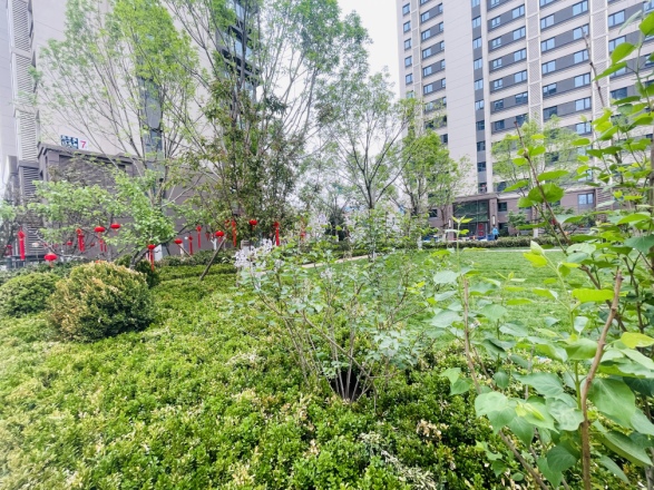 北京建工·璟玥林汐实景图