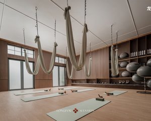 龙湖舜山府5室1厅南