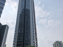 江北嘴 2020年次新盘 玻璃幕墙 双轨道 大平层258㎡