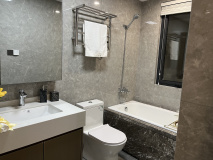 天健·泓悦府卫生间