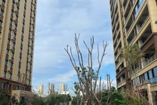 安泰幸福里[凤翔]