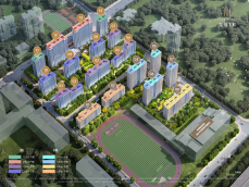 �н�����԰