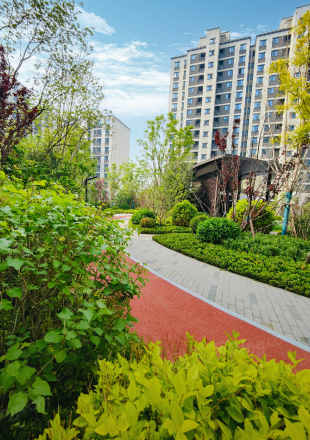 中绿东岳府实景图